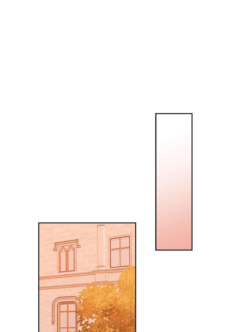 P54