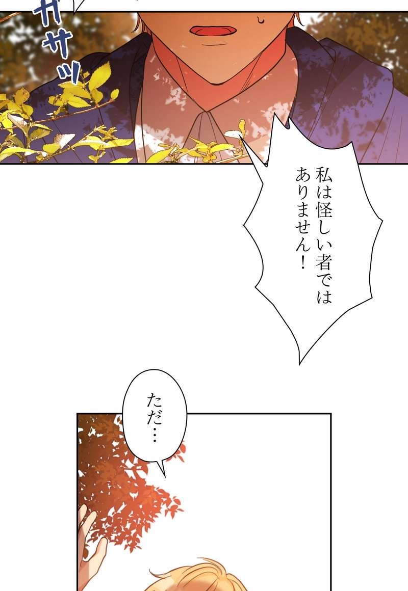 P63