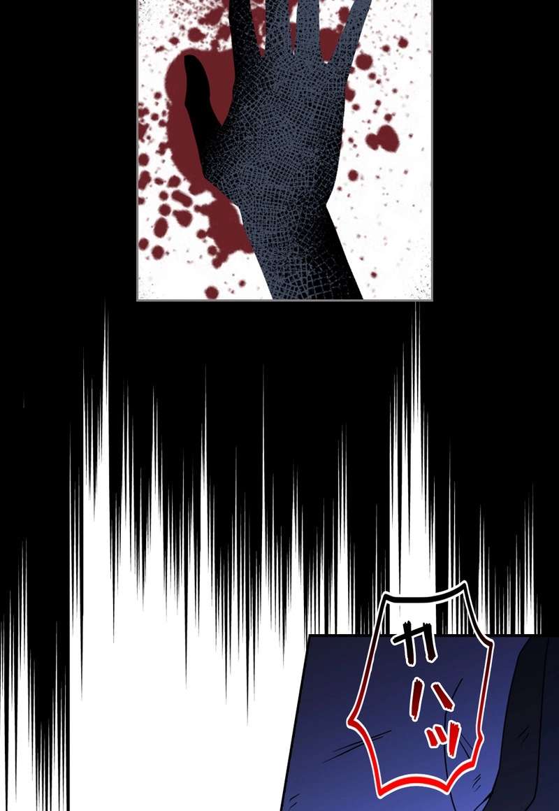P66