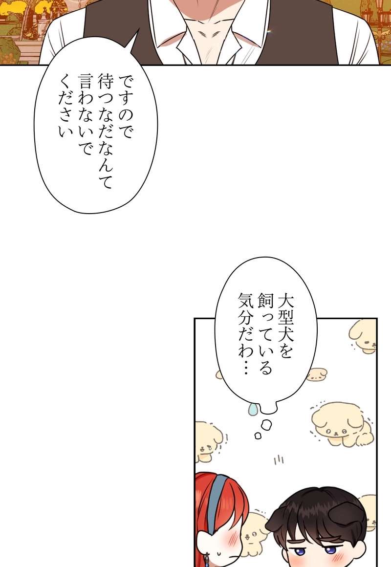 P53