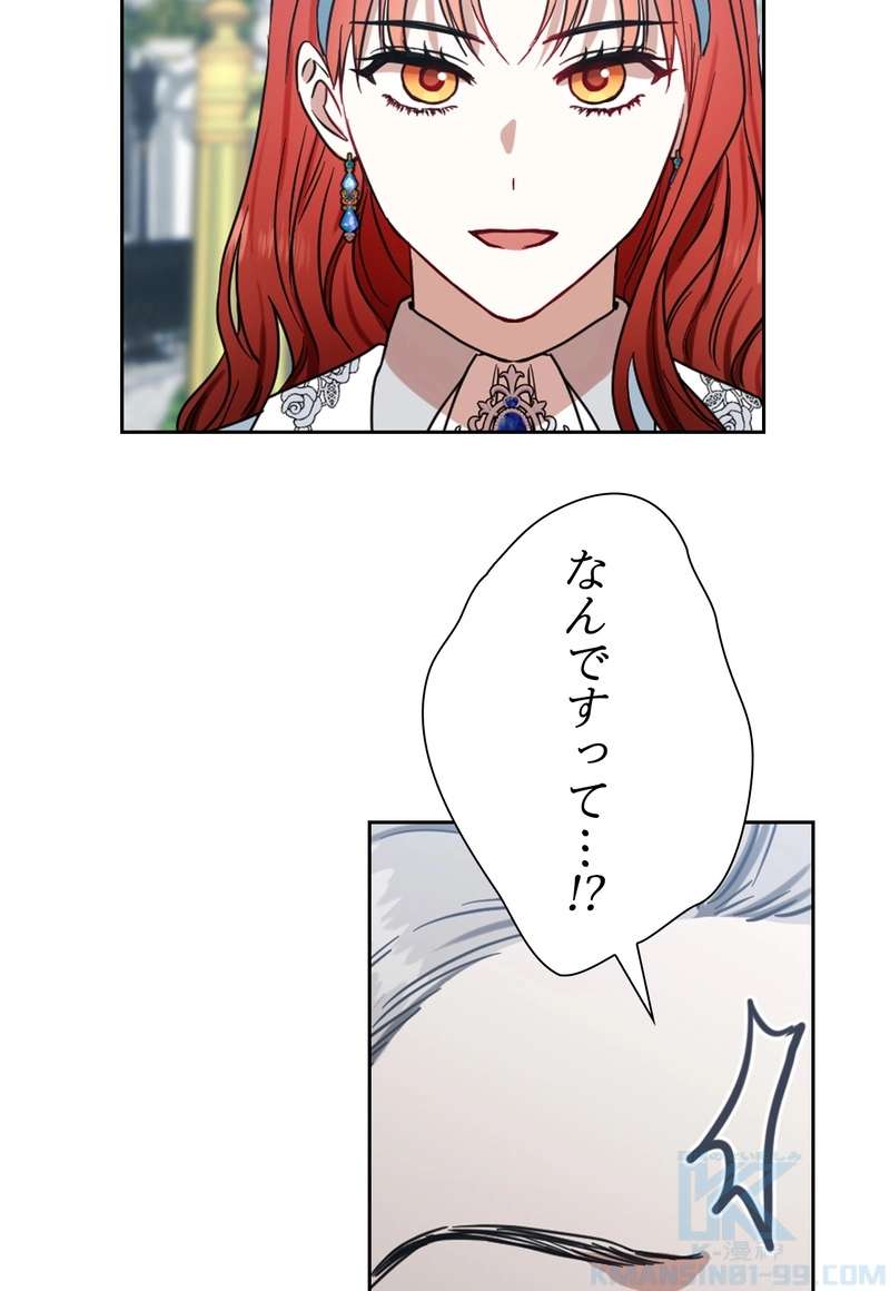 P58