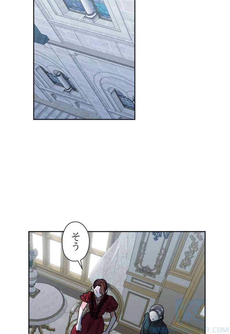 P61