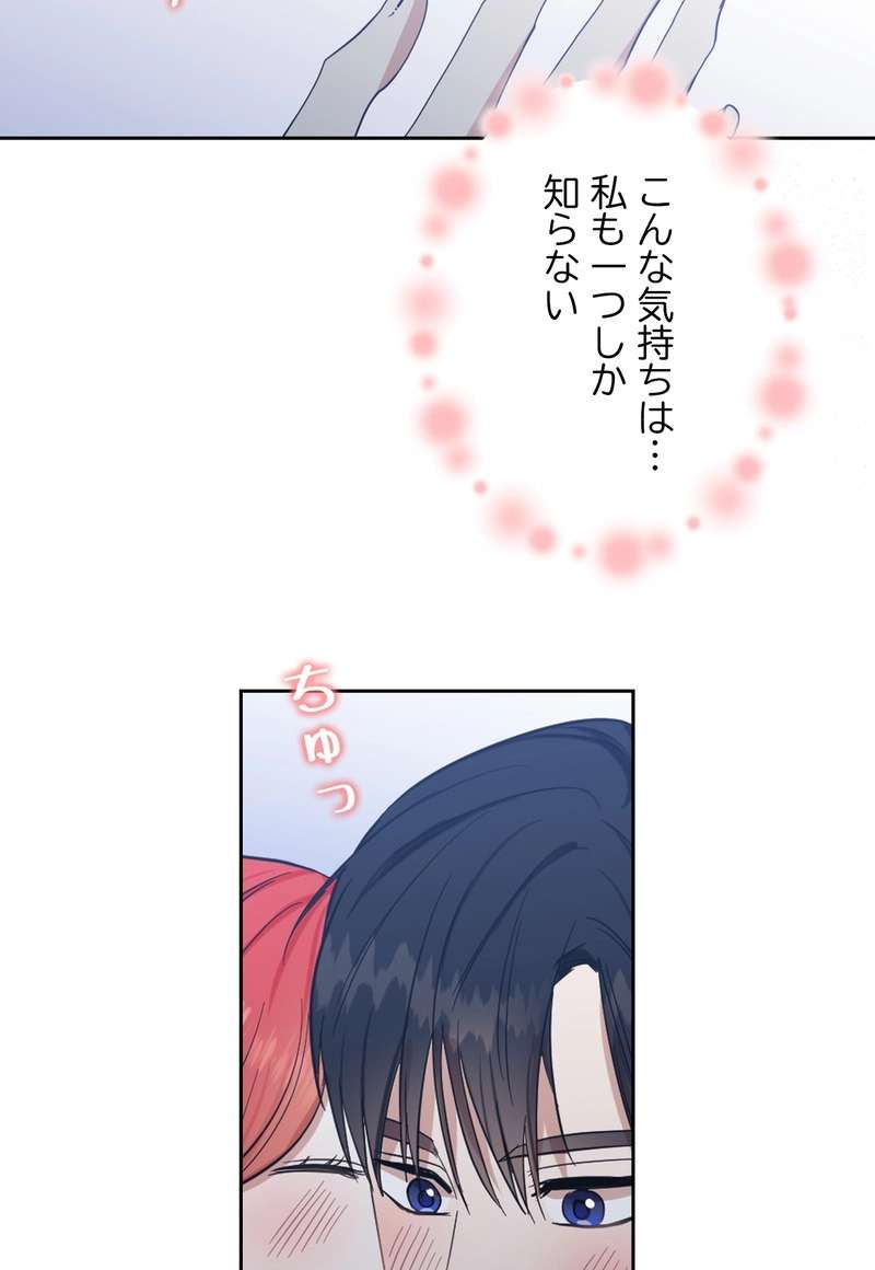 P66
