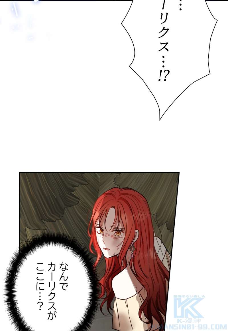 P58