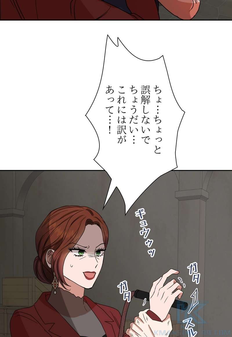 P61