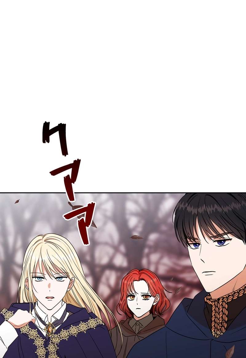 P66