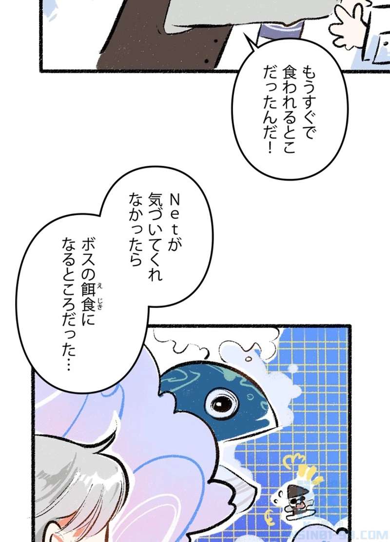 P4
