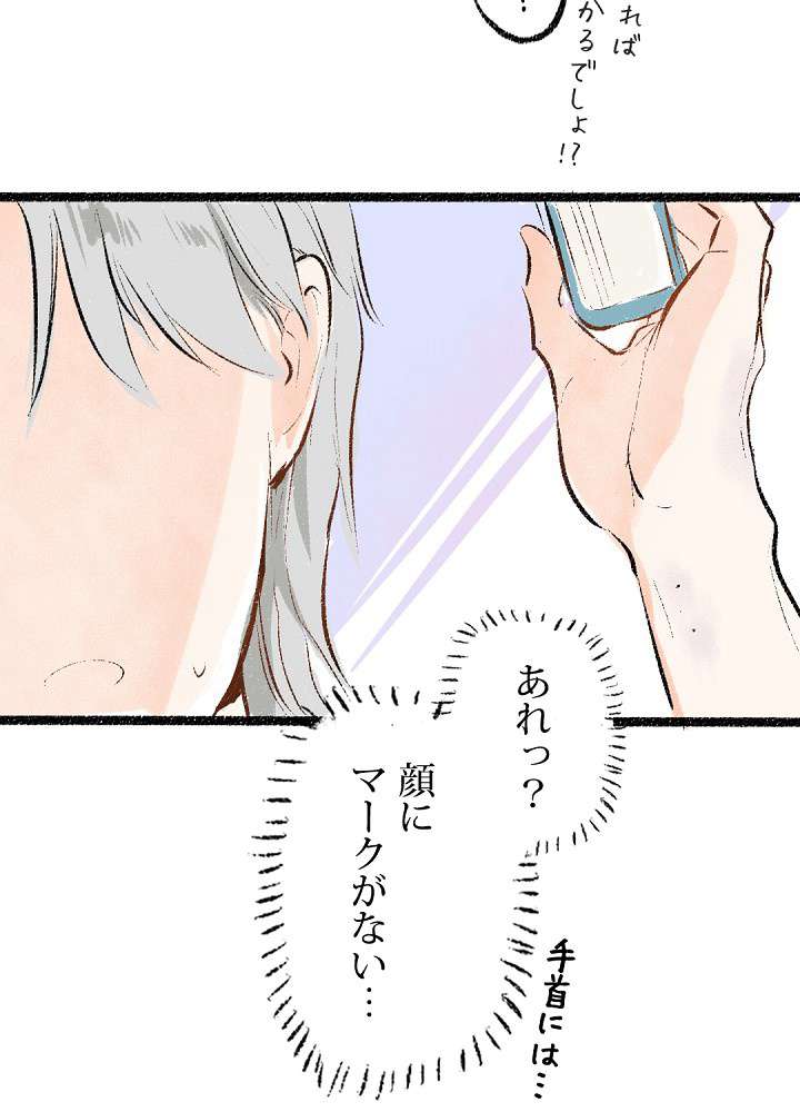 P53