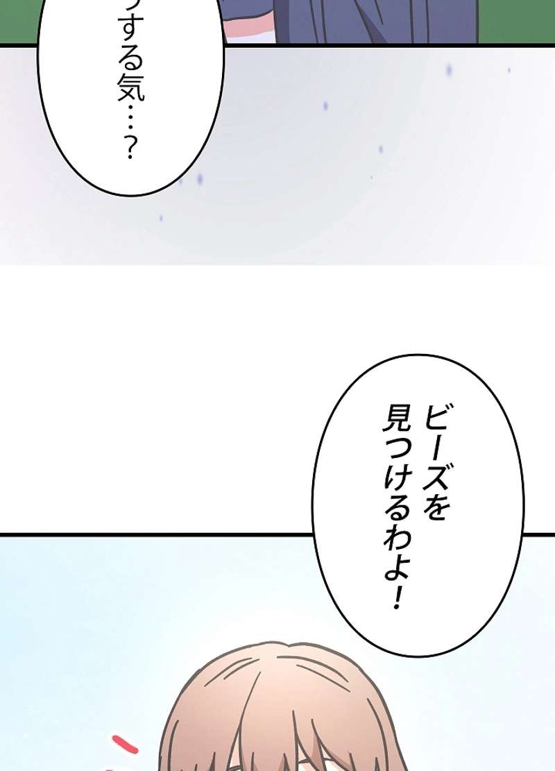 P66