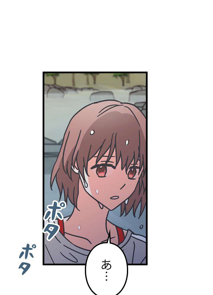 P66