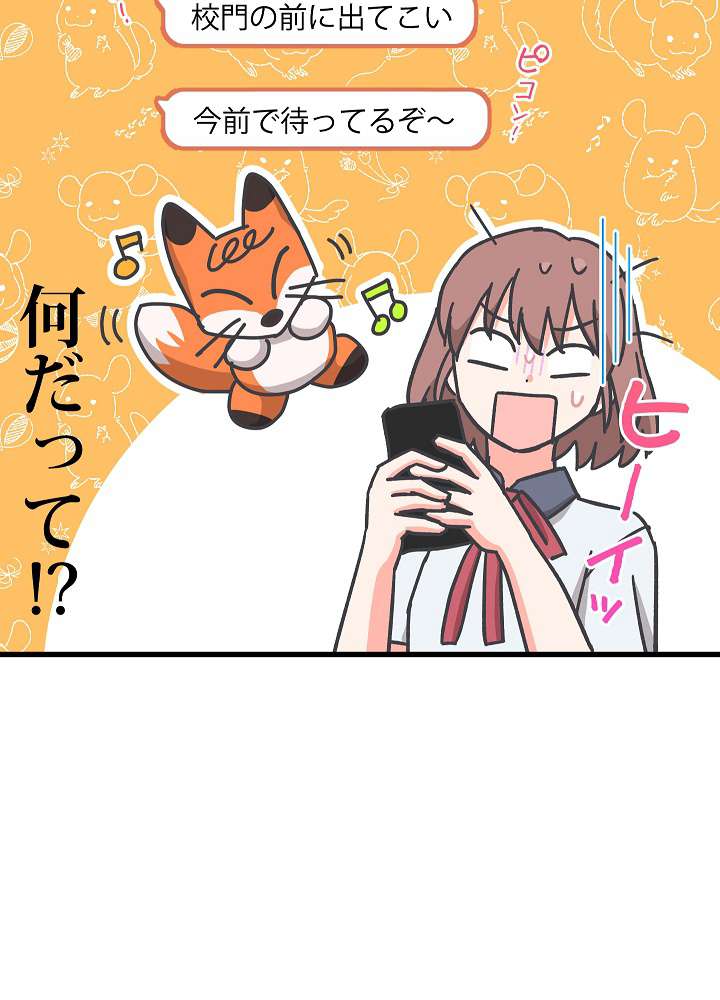 P44