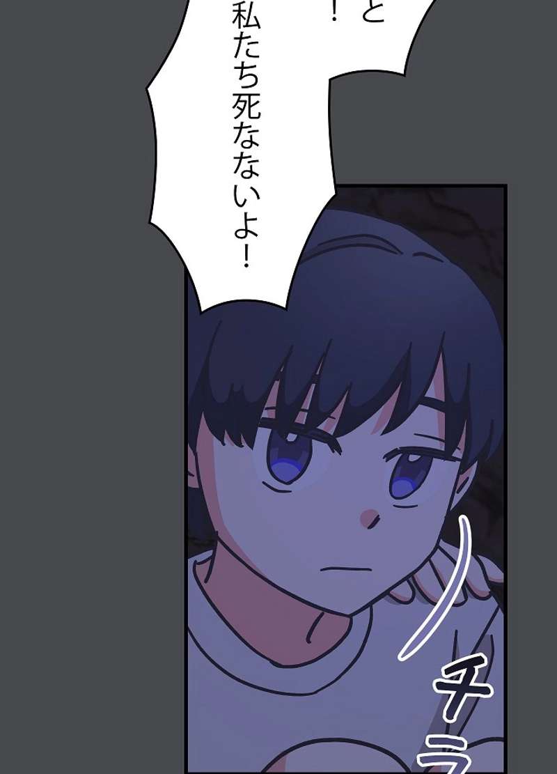 P66