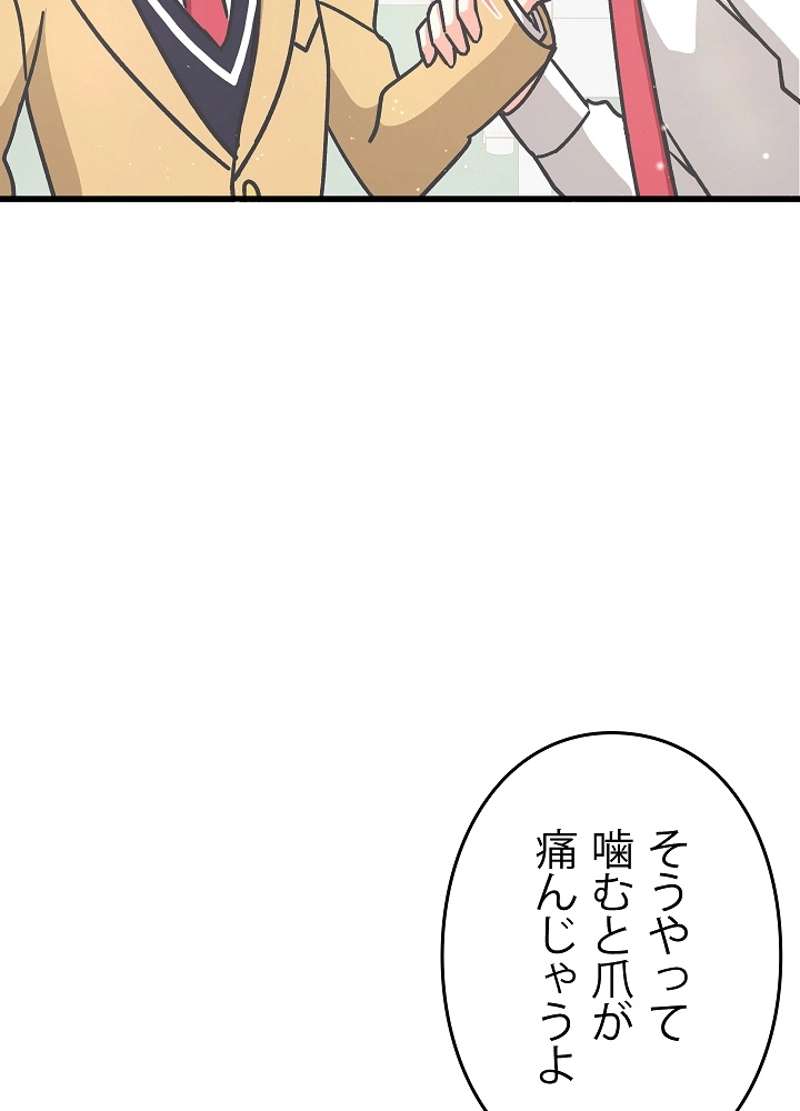 P51