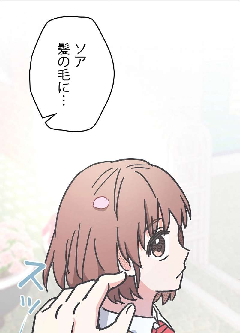 P65