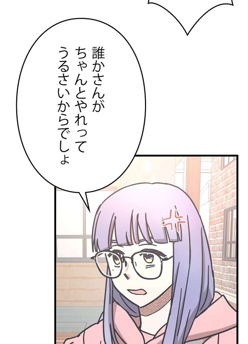 P66