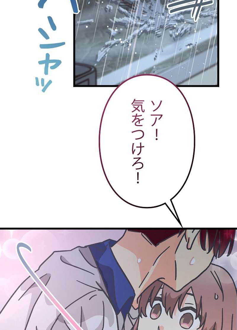 P66