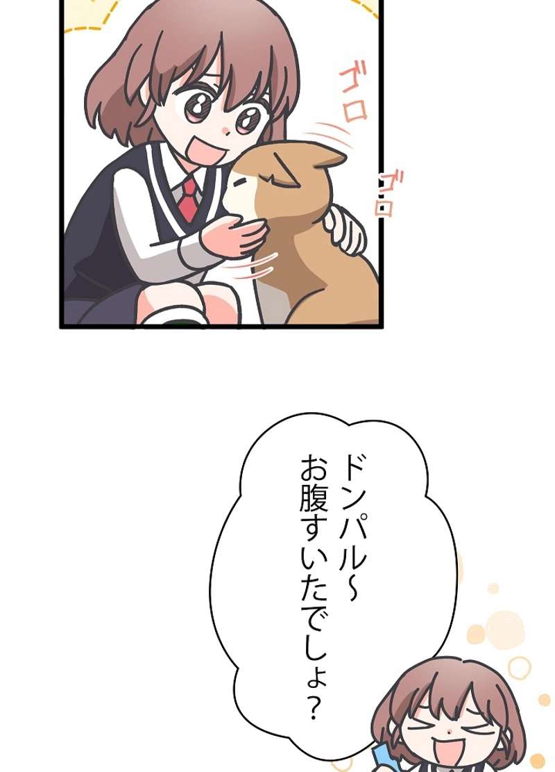 P35