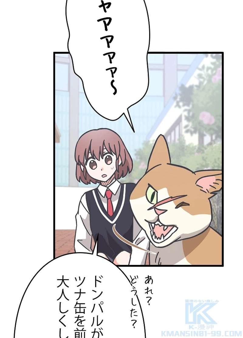 P37