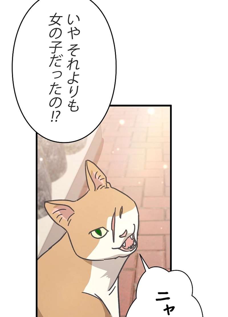 P41