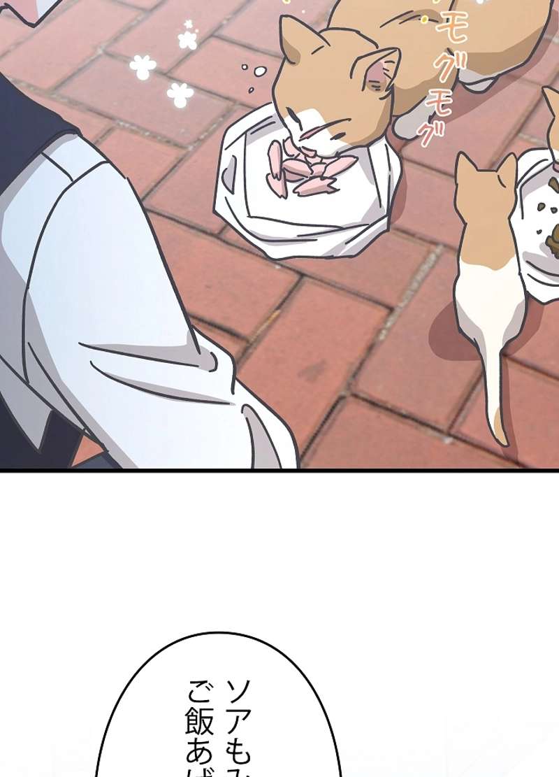 P53
