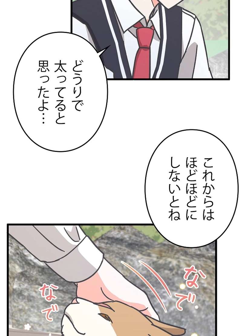 P56