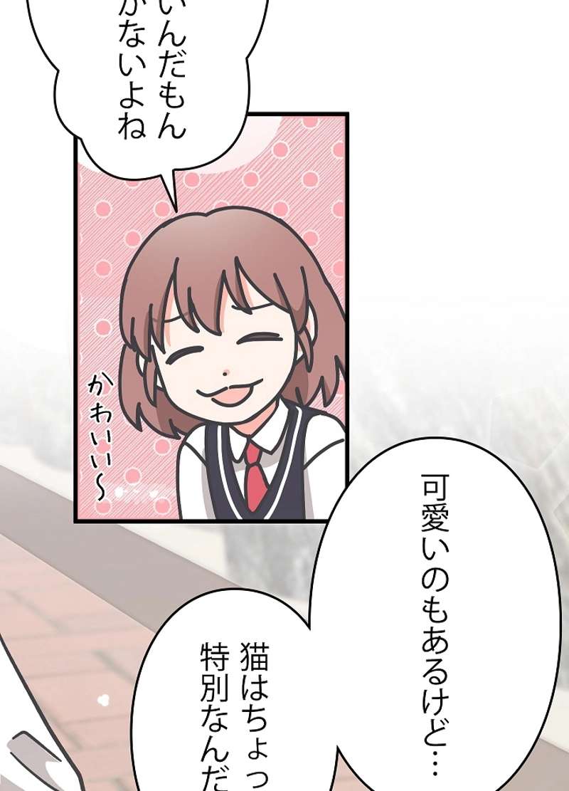 P59