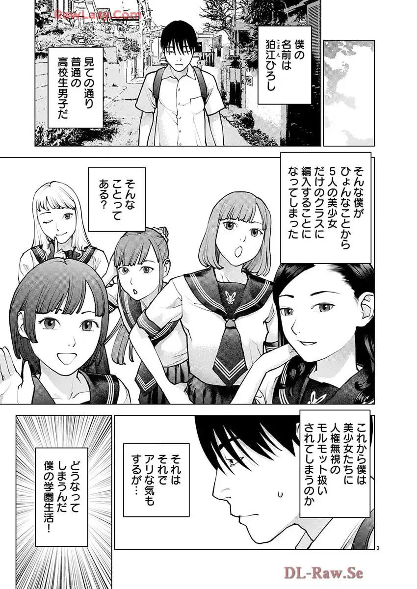P4