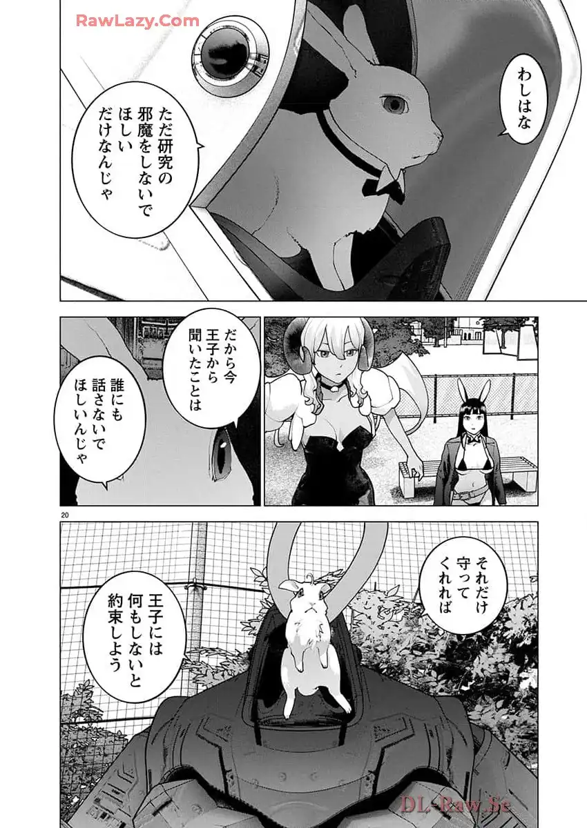 P20