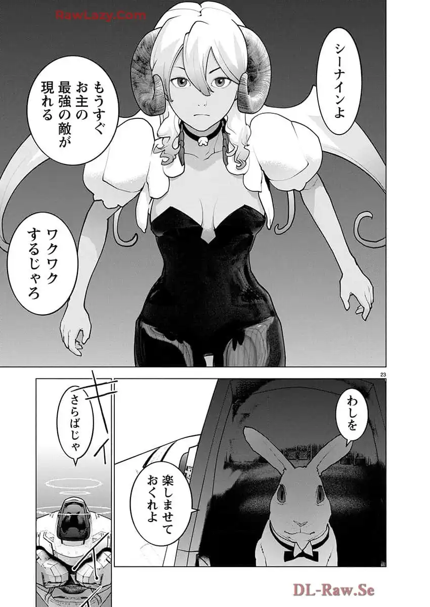 P23