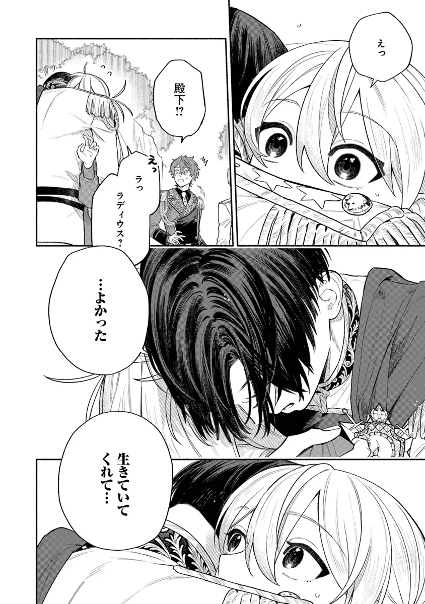P26