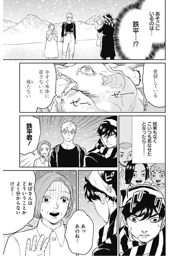 P19