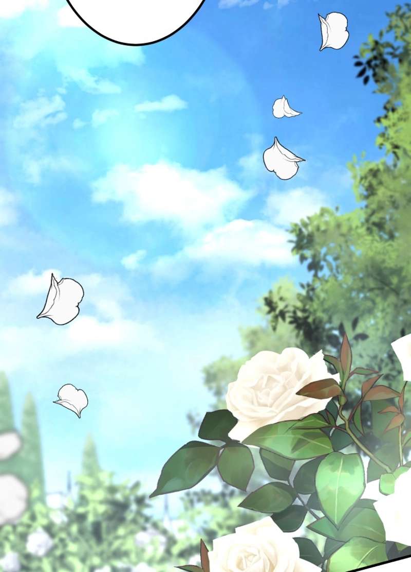 P96