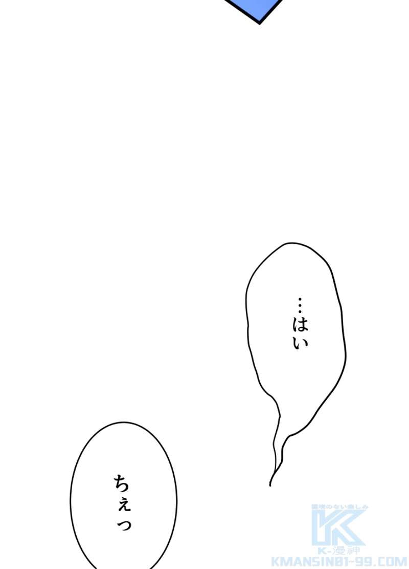 P133