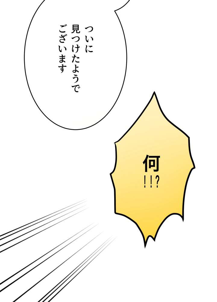 P113