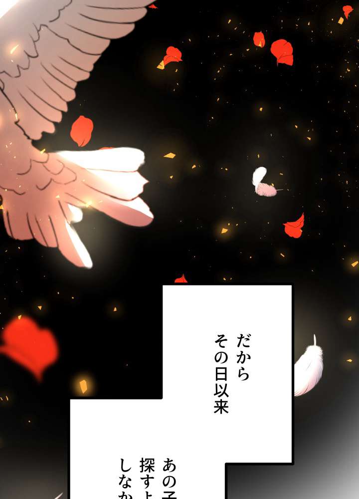 P63