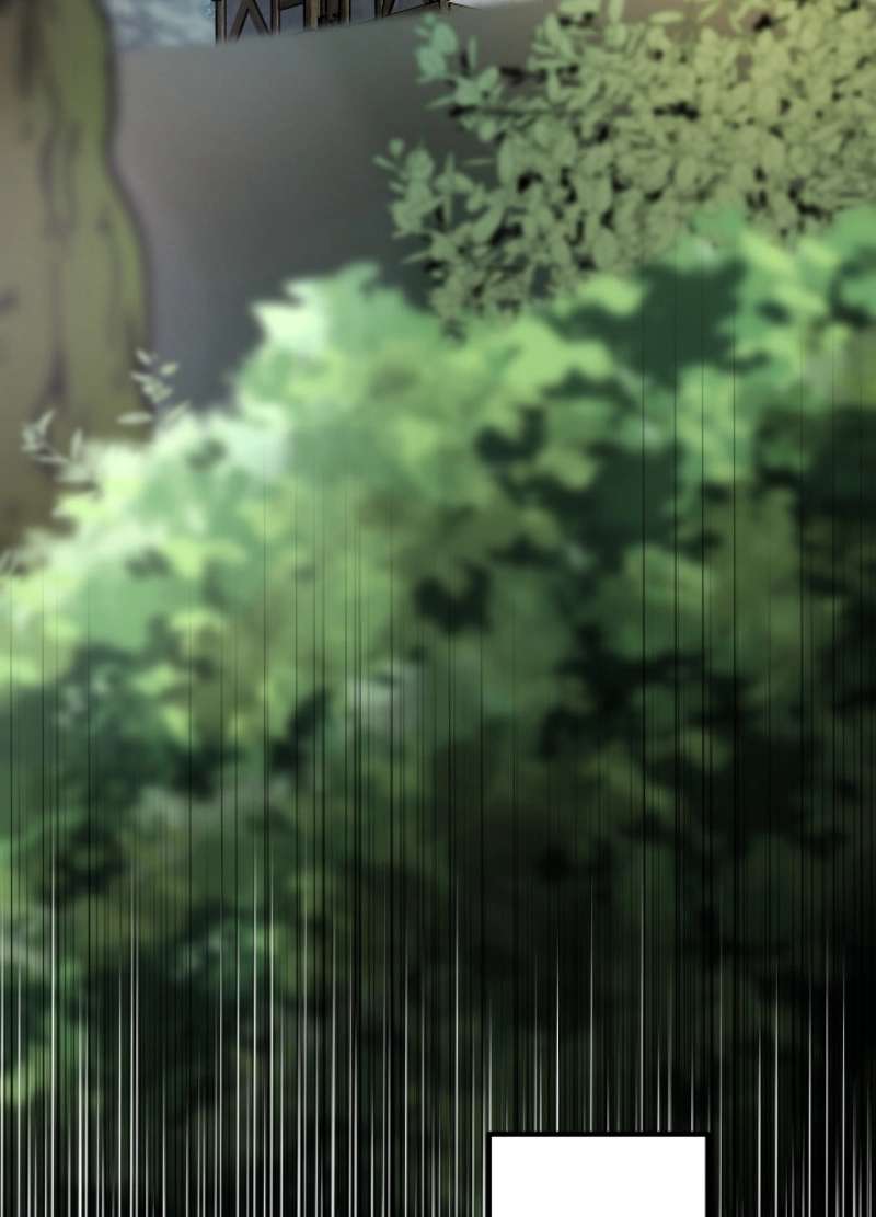 P84