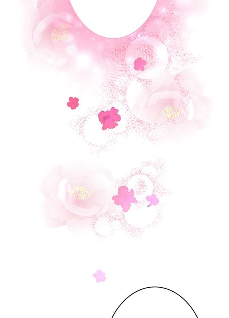 P63
