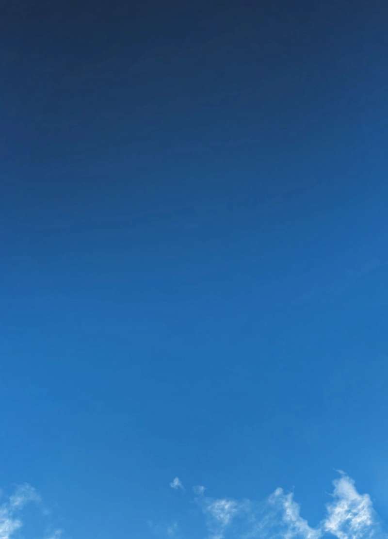 P83