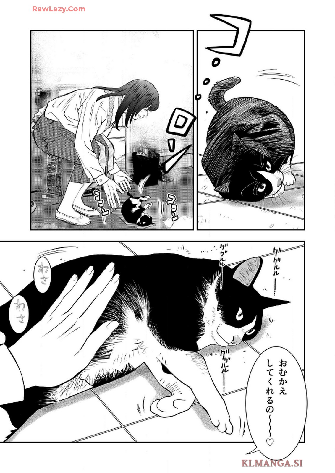 P42