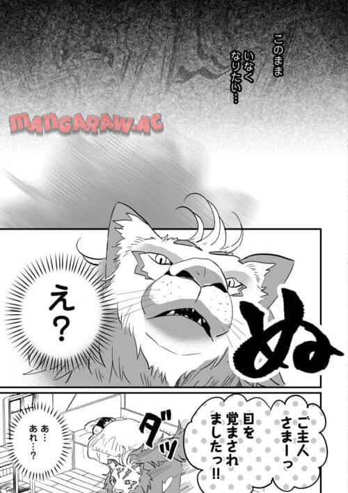 P21
