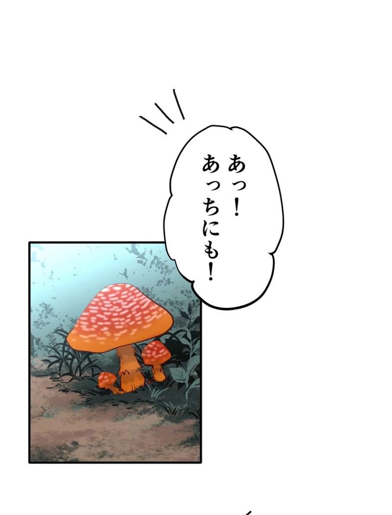 P66