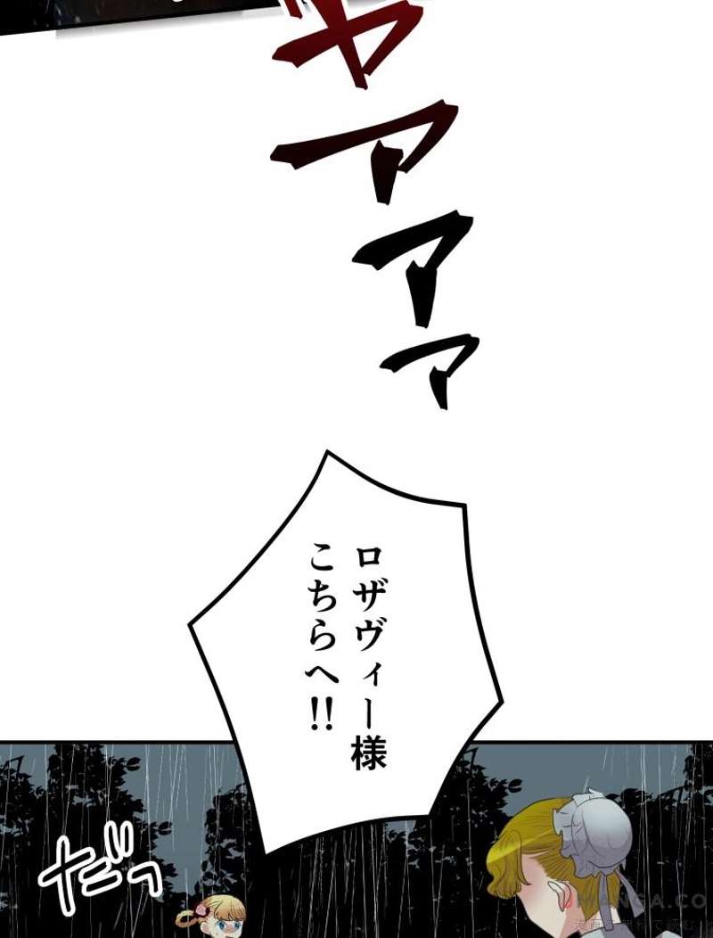 P61