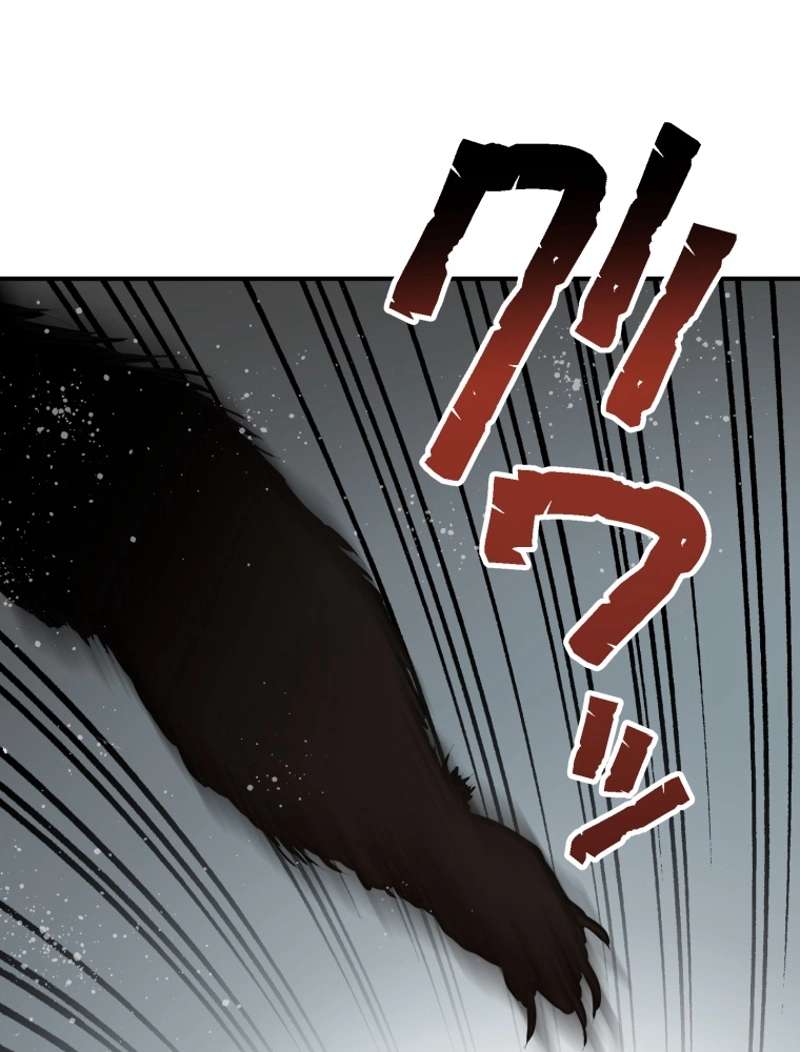P63