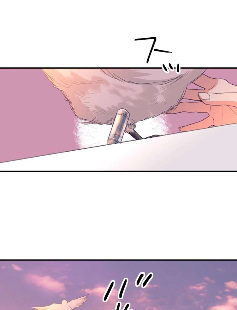 P55