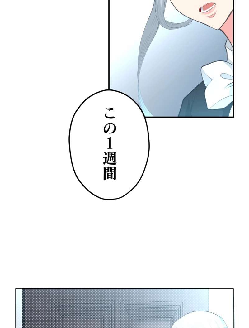 P58