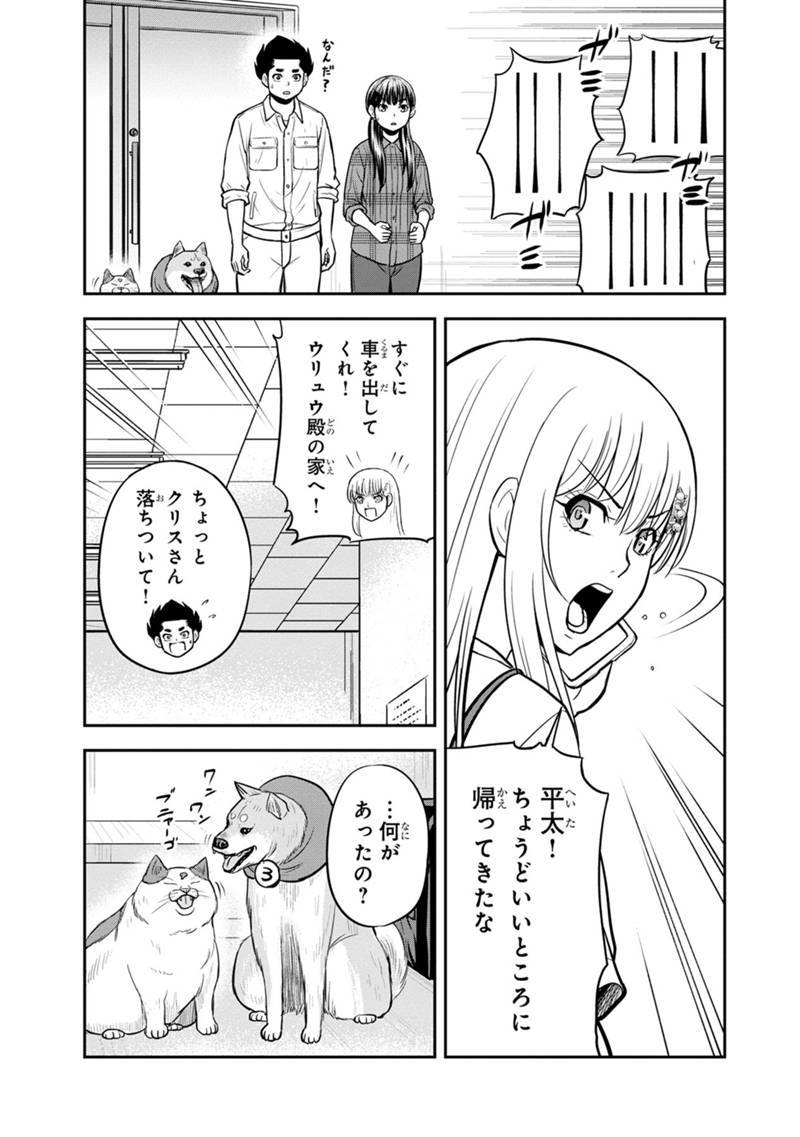 P11