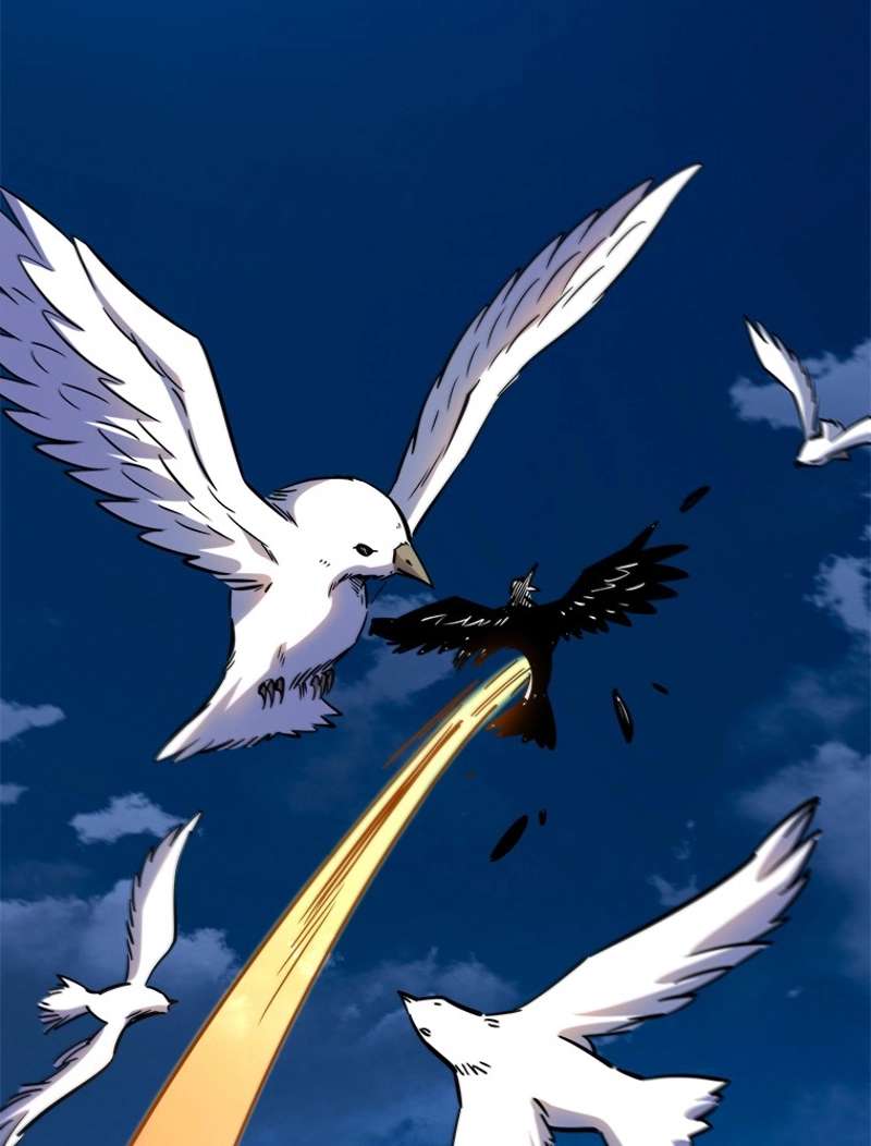 P48