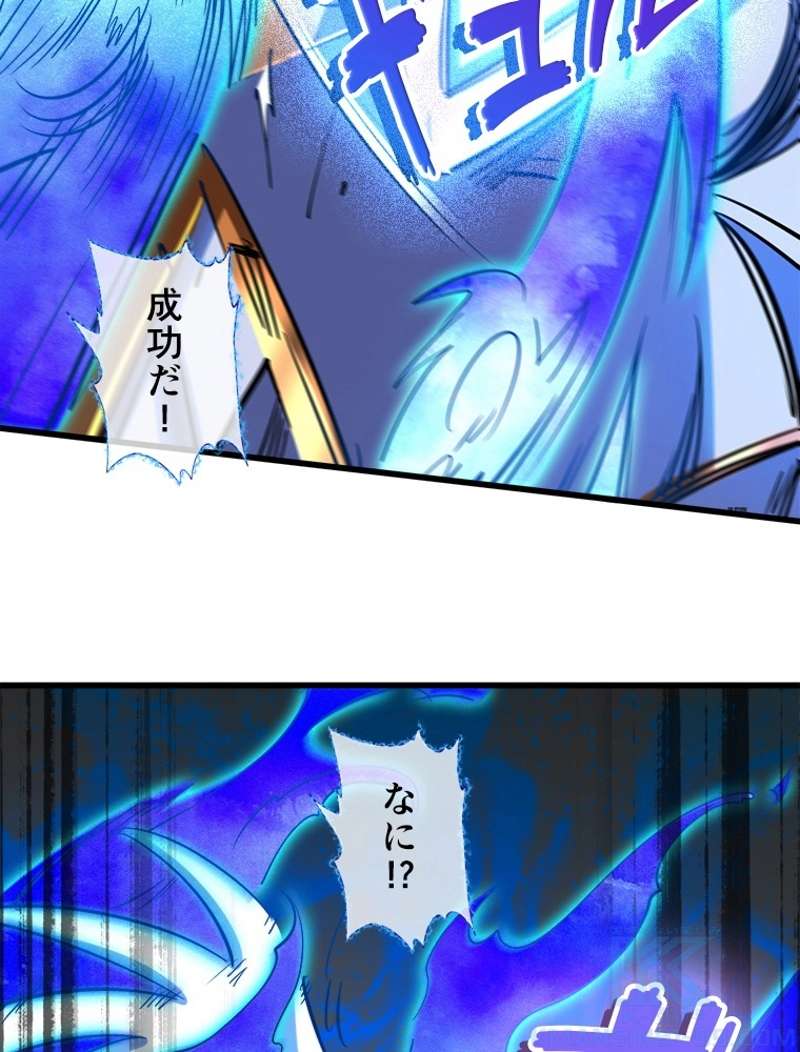 P58