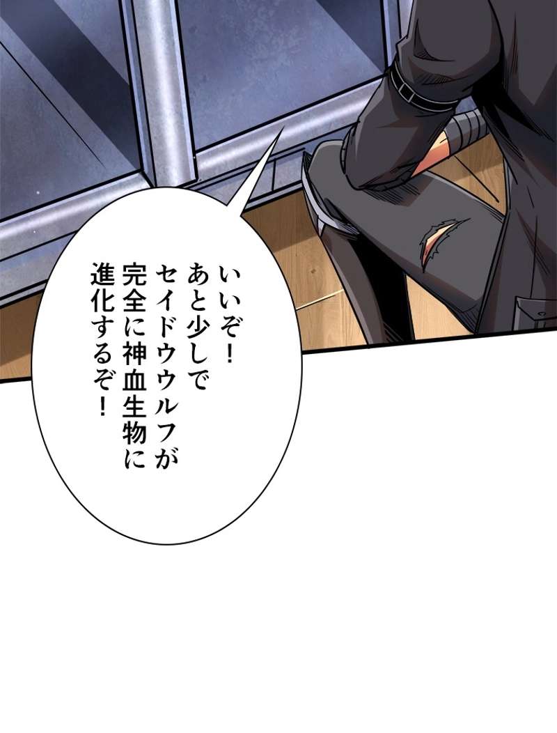 P24