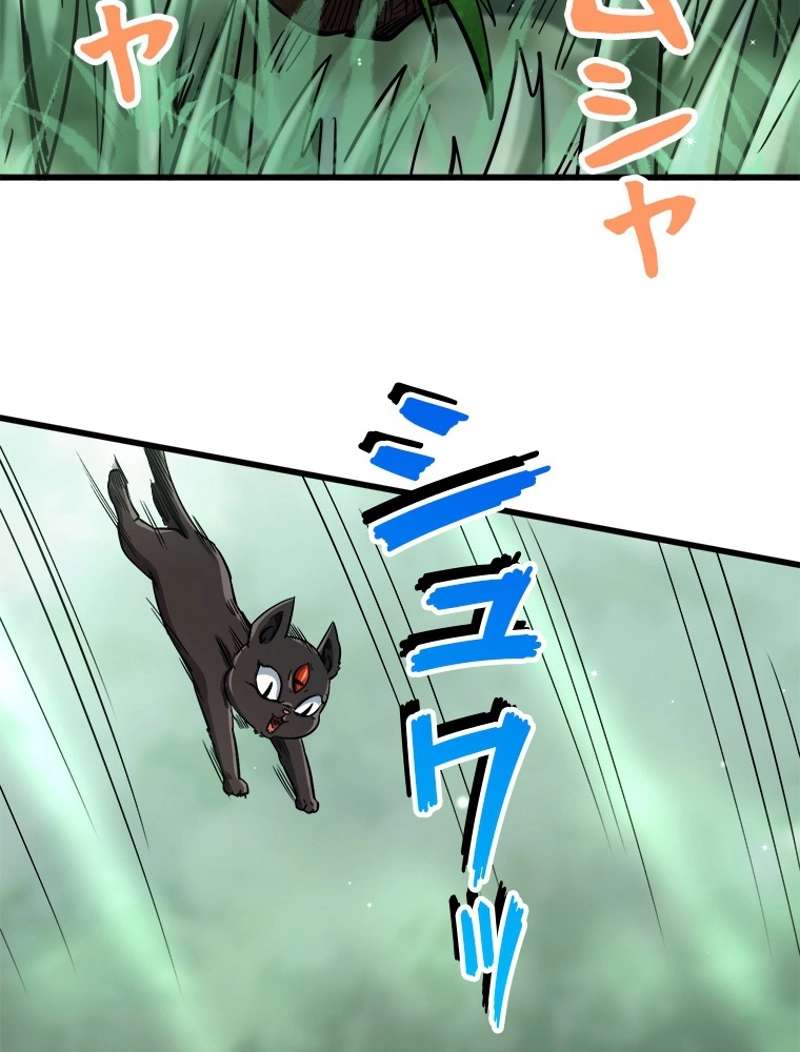 P52